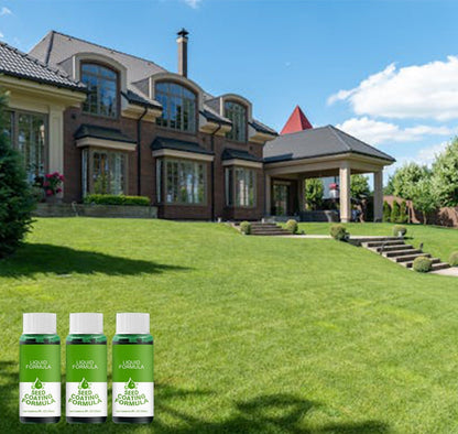 🔥Last Day 70% OFF -🌱Hydro Seeding Lawn Solution