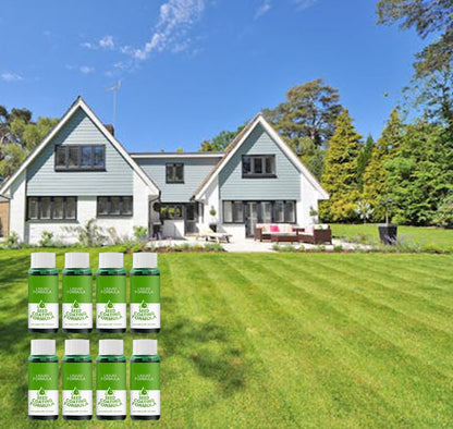 🔥Last Day 70% OFF -🌱Hydro Seeding Lawn Solution