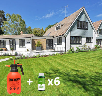 🔥Last Day 70% OFF -🌱Hydro Seeding Lawn Solution